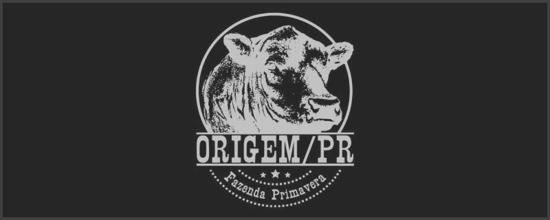 Origem/PR — Fazenda Primavera